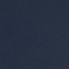 Agua_Fabrics-1622_F_Aries_Navy150mm_x_150mm_300dpi.jpg