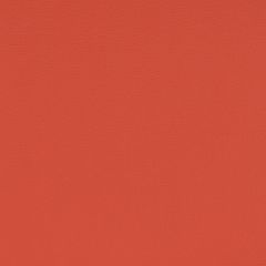 Agua_Fabrics-1626_F_Aries_Paprika150mm_x_150mm_300dpi.jpg