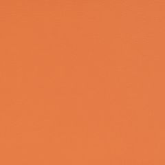 Agua_Fabrics-1630_F_Aries_Tangerine150mm_x_150mm_300dpi.jpg