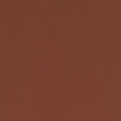 Agua_Fabrics-1641_F_Aries_Tan150mm_x_150mm_300dpi.jpg