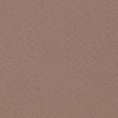 Agua_Fabrics_@work_F_Task_Latte_150mm_x_150mm_300dpi.jpeg