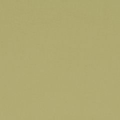 Agua_Fabrics_010_F_7Collection_Fern150mm_x_150mm_300dpi.jpg