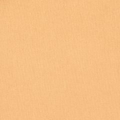 Agua_Fabrics_F_Argentex_Copper_150mm_x_150mm_300dpi.jpg