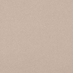 Agua_Fabrics_F_Argentex_Mink_150mm_x_150mm_300dpi.jpg