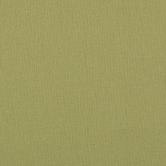 Agua_Fabrics_F_Argentex_Olive_150mm_x_150mm_300dpi.jpg