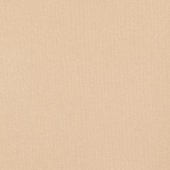 Agua_Fabrics_F_Argentex_Oyster_150mm_x_150mm_300dpi.jpg
