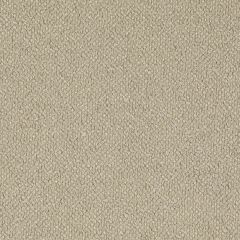 Agua_Fabrics_F_Boucle_Sage_150mm_x_150mm_300dpi.jpg