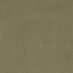 Agua_Fabrics_F_Cord_Olive_150mmx150mm_300dpi.jpg