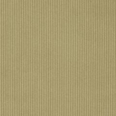 Agua_Fabrics_F_Cord_Sage_150mmx150mm_300dpi.jpg