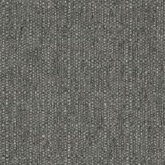 Agua_Fabrics_F_Eden_Graphite_150mm_x_150mm_300dpi.jpg