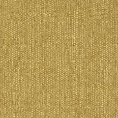 Agua_Fabrics_F_Eden_Lime_150mm_x_150mm_300dpi.jpg