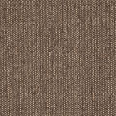 Agua_Fabrics_F_Eden_Nutmeg_150mm_x_150mm_300dpi.jpg