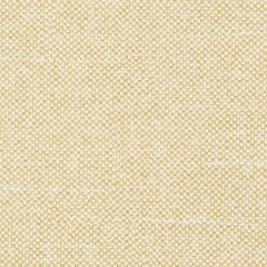 Agua_Fabrics_F_Entwine_Fennel_150mm_x_150mm_300dpi.jpg