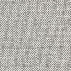 Agua_Fabrics_F_Entwine_Flint_150mm_x_150mm_300dpi.jpg