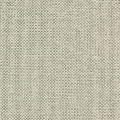 Agua_Fabrics_F_Entwine_Sage_150mm_x_150mm_300dpi.jpg