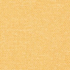 Agua_Fabrics_F_Entwine_Sunflower_150mm_x_150mm_300dpi.jpg
