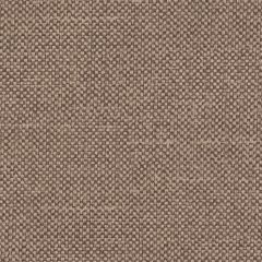 Agua_Fabrics_F_Entwine_Truffle_150mm_x_150mm_300dpi.jpg
