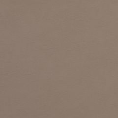 Agua_Fabrics_F_Lunar_Scorpio_Mink.jpg