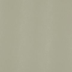 Agua_Fabrics_F_Mystique_Pagasus_Sage_150mm_150mm_300dpi.jpg