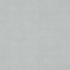 Agua_Fabrics_F_Mystique_Titan_Platinum_150mm_150mm_300dpi-1.jpg