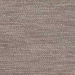 Agua_Fabrics_F_Parody_Linen_Mink150_x_150mm_300dpi.jpg