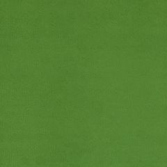 Agua_Fabrics_F_Primeira_Apple_Green_150mm_x_150mm_300dpi.jpg