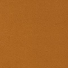 Agua_Fabrics_F_Primeira_Cinnamon_150mm_x_150mm_300dpi.jpg