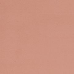 Agua_Fabrics_F_Primeira_Clay_150mm_x_150mm_300dpi.jpg