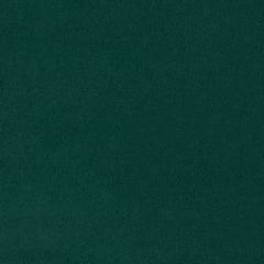 Agua_Fabrics_F_Primeira_Forest_150mm_x_150mm_300dpi.jpg