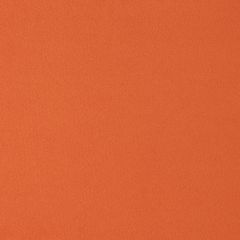 Agua_Fabrics_F_Primeira_Paprika_150mm_x_150mm_300dpi.jpg