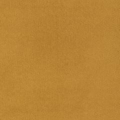 Agua_Fabrics_F_Primeira_Turmeric_150mm_x_150mm_300dpi.jpg