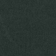 Agua_Fabrics_F_Zephyr_Forest_150x150mm_300dpi.jpg